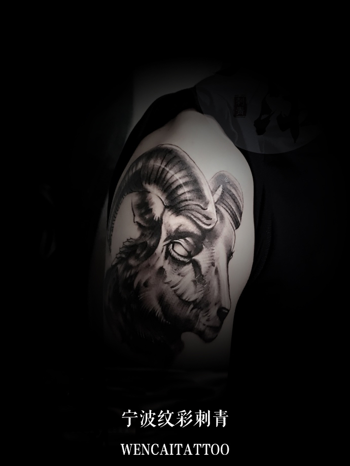 宁波的易先生大臂羊头纹身图案
